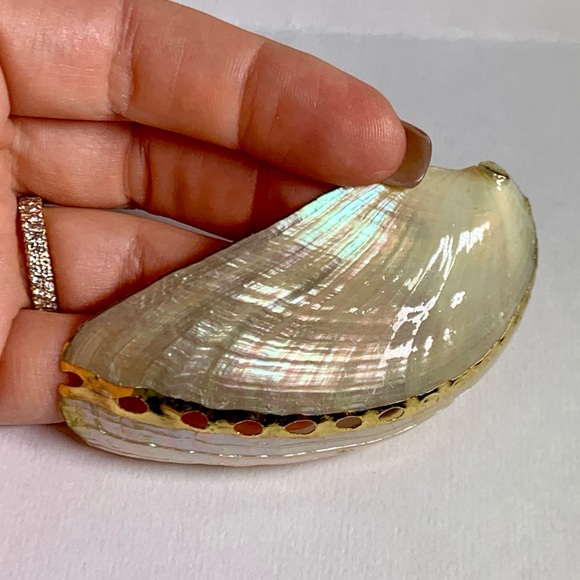 ⭐️ Gold Plated Shell ⭐️ - Picture 5 of 7
